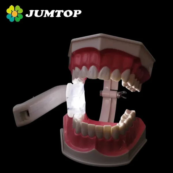 Rechargeable Dental Curing Light – LED Oral Illuminator - Image 1